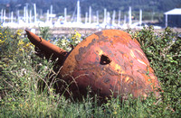 Rusted Relic